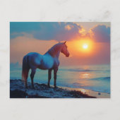 Paard kijken naar zonsondergang aan zee briefkaart (Voorkant)