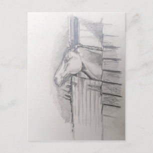 Paard kijkt over de staldeur briefkaart
