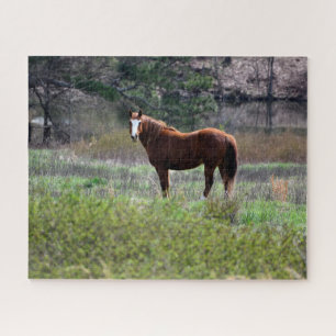 Paard kijkt terug legpuzzel