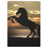 paard klembord (Achterkant)