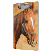 Paard Klembord (Links)