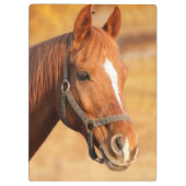 Paard Klembord (Achterkant)