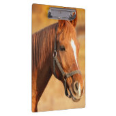 Paard Klembord (Rechts)