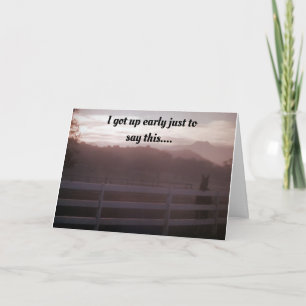 PAARD KON GEWOON NIET WACHTEN OM TE ZEGGEN * GELUK KAART