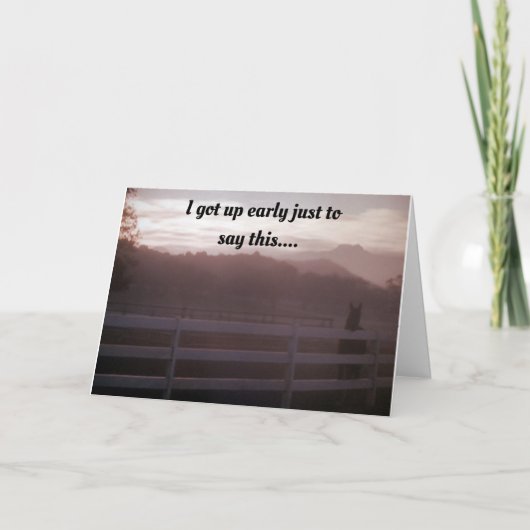 PAARD KON GEWOON NIET WACHTEN OM TE ZEGGEN * GELUK KAART (Voorkant)