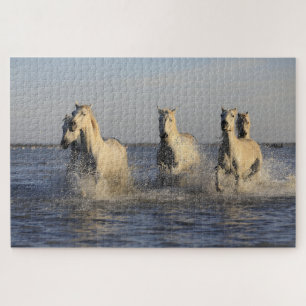 paard kudde puzzel
