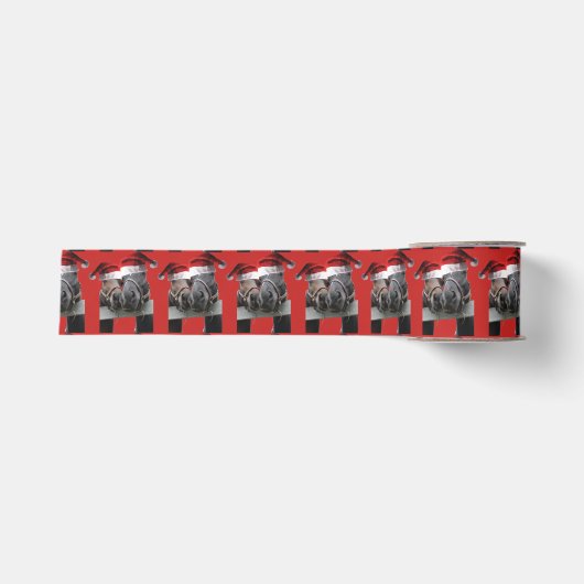 Paard Kus Santa Claus Grosgrain Lint (Voorkant)
