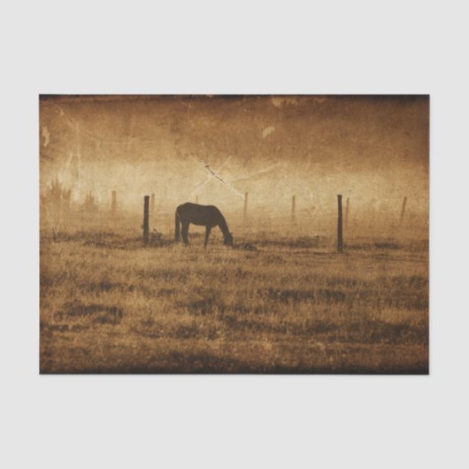 Paard Landelijk Rustiek Oud Textuur Decoupage Tissuepapier (Voorkant)