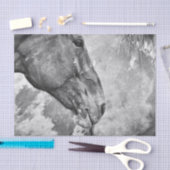 Paard Landelijk Rustiek Zwart-Wit Decoupage Tissuepapier (Craft)