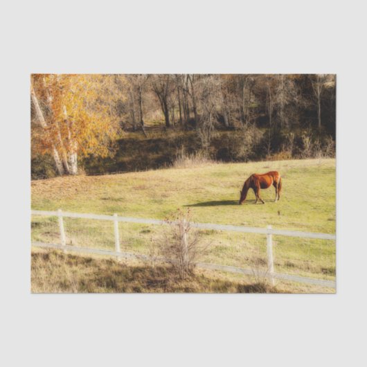 Paard Landelijke Herfst Decoupage Tissuepapier (Voorkant)