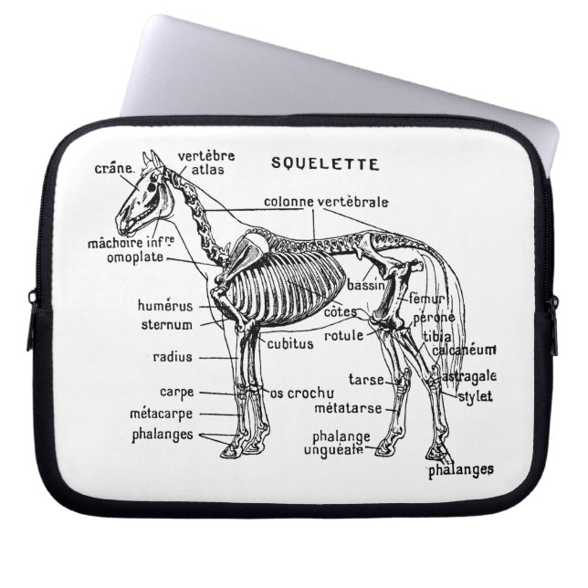 Paard Laptop Sleeve (Voorkant)