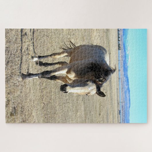 Paard Legpuzzel (Horizontaal)