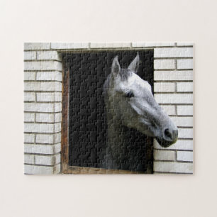 Paard Legpuzzel