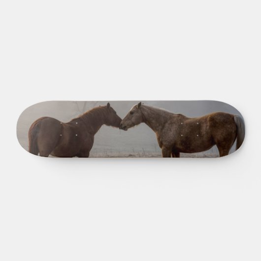 Paard Liefde Skateboard (Horizontaal)