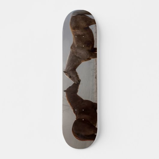Paard Liefde Skateboard (Voorkant)