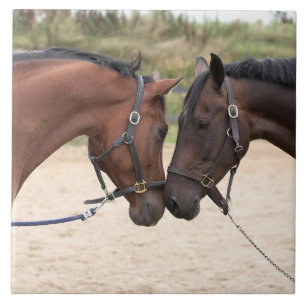 paard liefde tegel tegeltje