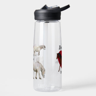 Paard Lievende Leraar Waterfles