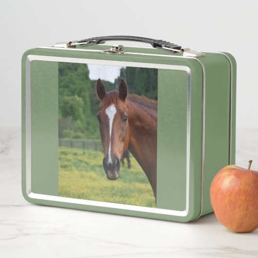 paard lunchbox (In situ)