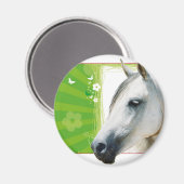 Paard Magneet (Voorkant / Achterkant)