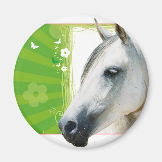 Paard Magneet (Voorkant)