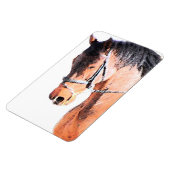 Paard Magneet (Linkerzijde)