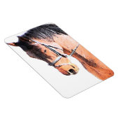 Paard Magneet (Rechterzijde)