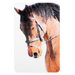 Paard Magneet