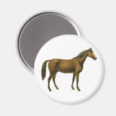  paard magneet (Voorkant / Achterkant)