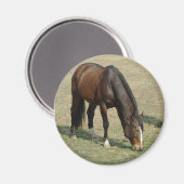 Paard - Magneet (Voorkant / Achterkant)