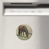 Paard - Magneet (Insitu (Vaatwasser))