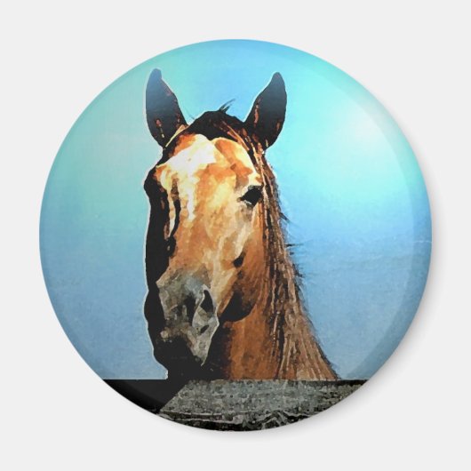 Paard Magneet (Voorkant)