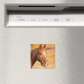 Paard Magneet (Insitu (Vaatwasser))