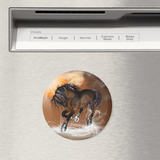 Paard Magneet (Insitu (Vaatwasser))