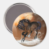 Paard Magneet (Voorkant / Achterkant)