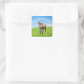 Paard Meisje Verjaardag Viering Speciaal Bericht Vierkante Sticker (Tas)