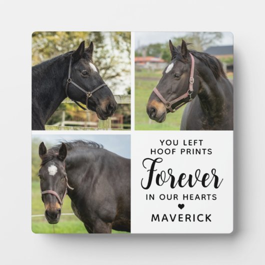 Paard Memorial Gepersonaliseerde 3 Pet Photo Colla Fotoplaat (Voorkant)