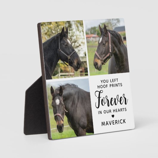 Paard Memorial Gepersonaliseerde 3 Pet Photo Colla Fotoplaat (Voorkant)