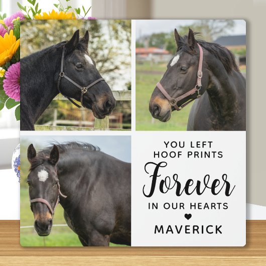 Paard Memorial Gepersonaliseerde 3 Pet Photo Colla Fotoplaat
