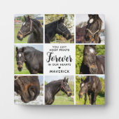 Paard Memorial Gepersonaliseerde 8 Pet Foto Collag Fotoplaat (Voorkant)
