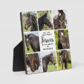 Paard Memorial Gepersonaliseerde 8 Pet Foto Collag Fotoplaat (Voorkant)