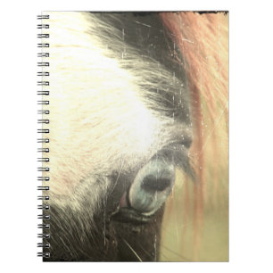 Paard met blauwe ogen Grunge Notitieboek
