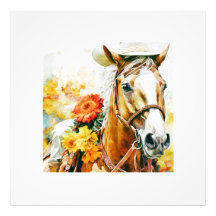  paard met cowgirl pet