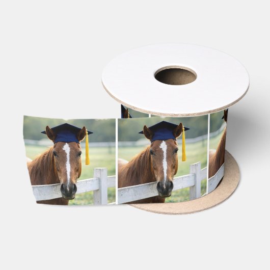 Paard met een afstudeerhoed satijnen lint (Spoel)