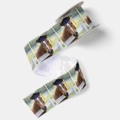 Paard met een afstudeerhoed satijnen lint (Achterkant)