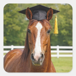 Paard met een afstudeerhoed vierkante sticker