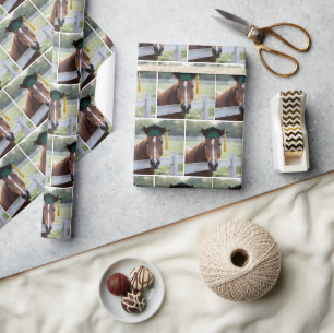 Paard met een groene afstudeerhoed cadeaupapier