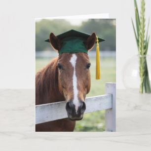 Paard met een groene afstudeerhoed kaart