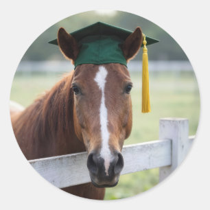 Paard met een groene afstudeerhoed ronde sticker