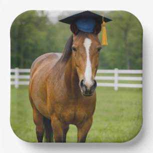 Paard met een marineblauwe afstudeerhoed papieren bordje