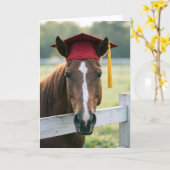 Paard met een rode afstudeerhoed kaart (Gele Bloem)